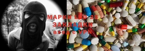 гашик Аркадак