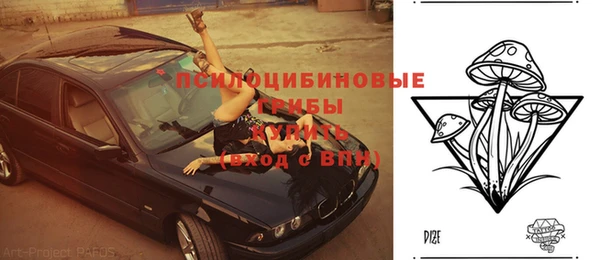 эйфоретик Арсеньев