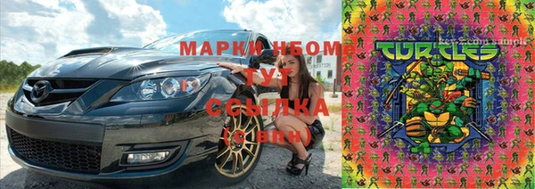 гашик Аркадак